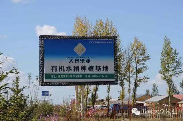 1491982700373064.jpg mmexport1491982381862.jpg