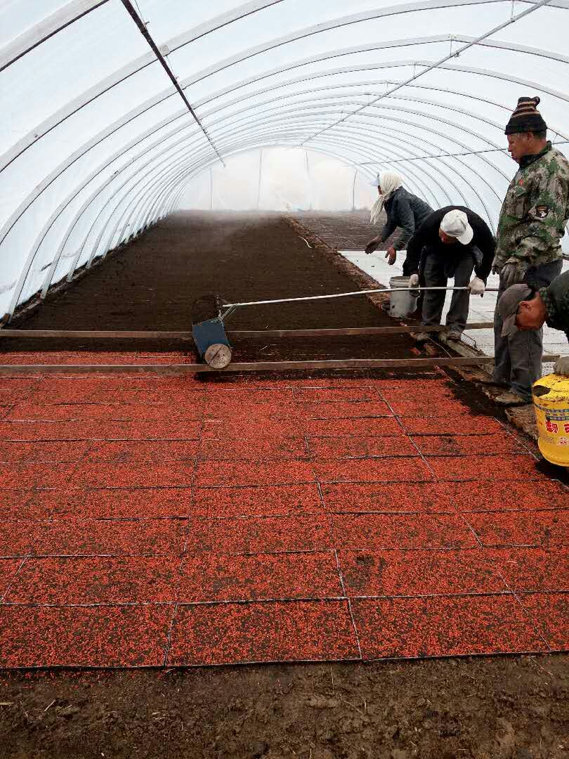 1491982795576618.jpg mmexport1491982357427.jpg